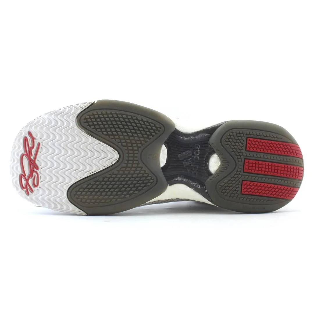 ADIDAS D ROSE 5 BOOST Kinds Of Basketball Shoes