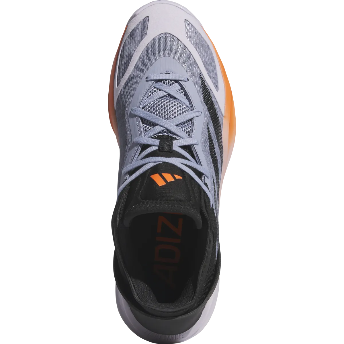 Basketball Shoes Playing Adizeo Select 2.0