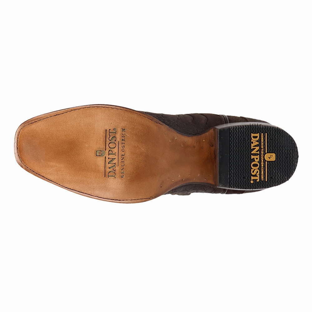 Anders Embroidered Ostrich Square Toe Cowboy Boots Boots Pointy Toe