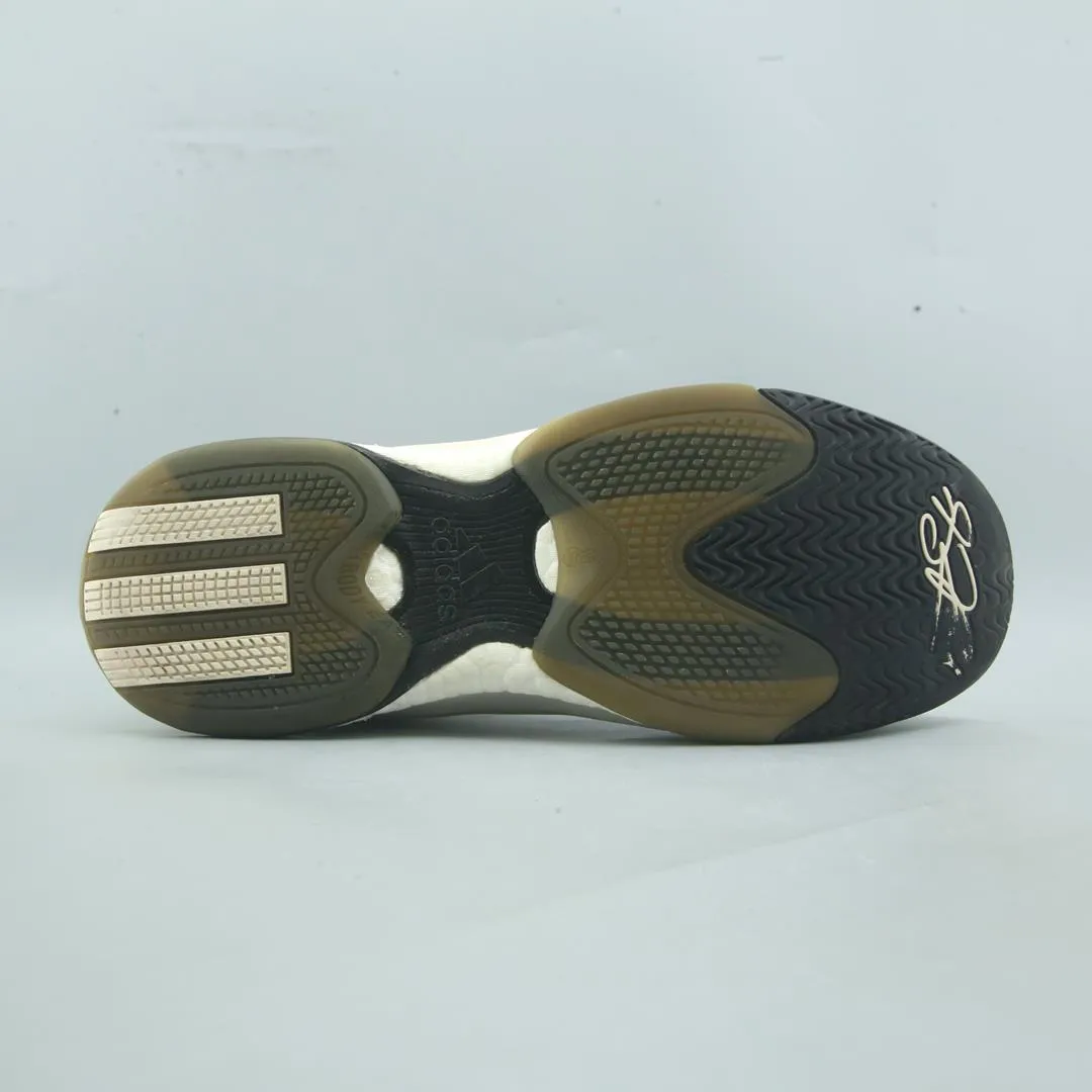 Top 10 Basketball Shoes For Point Guards ADIDAS D ROSE 5 BOOST