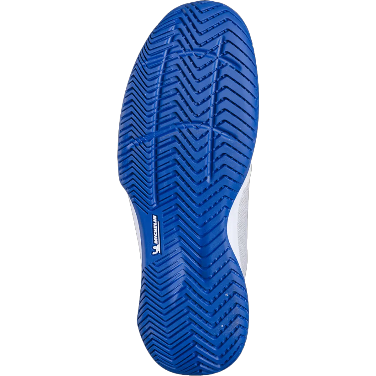 Floral Nike Tennis Shoes Men's SFX Evo