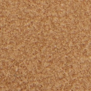 Troye Christyn Penny Loafers