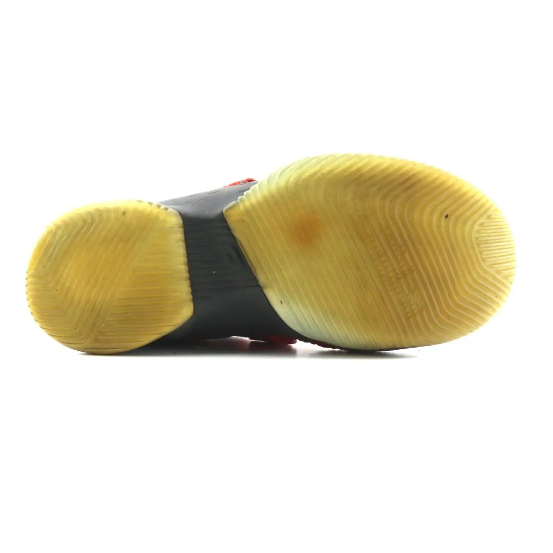 Basketball Shoes Pickup NIKE LEBRON SOLDIER 12 SFG