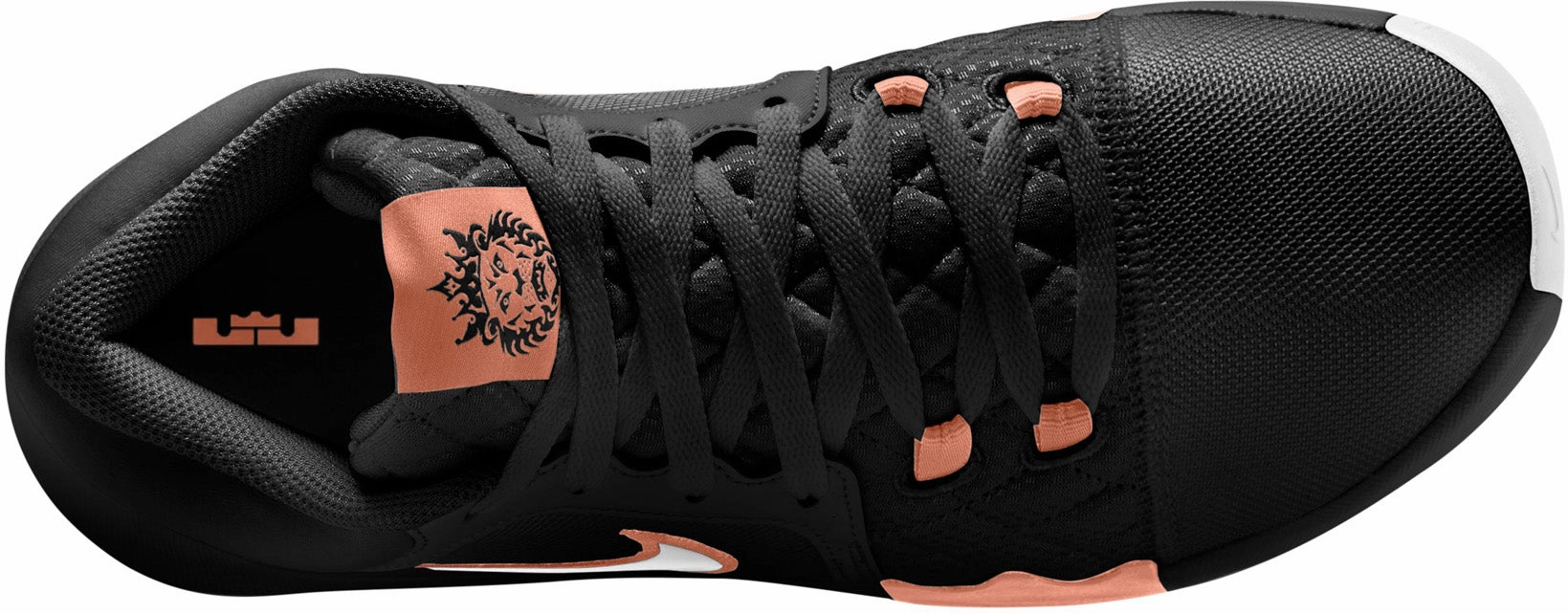 Lebron Witness VIII Basketball Shoes Most Expensive Pair Of Basketball Shoes Ever