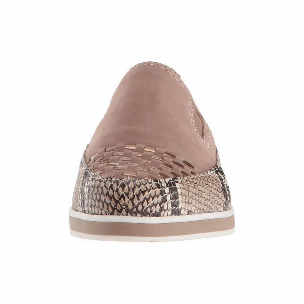 Slip On Chukka Ara Laurel Taupe Snake Combo Loafer (Women's)