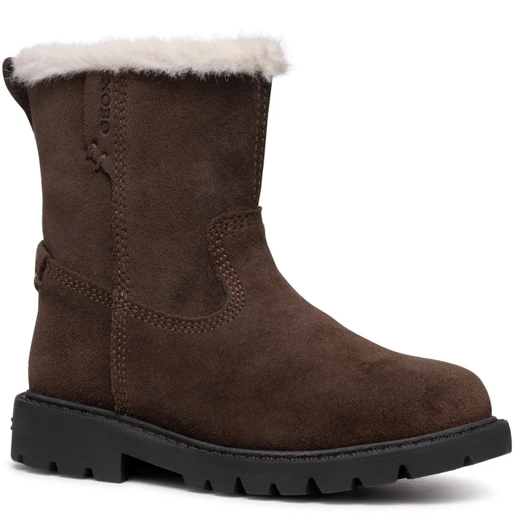 Dsw Boots Ankle Geox J Shaylax G Ankle Boots Size 6