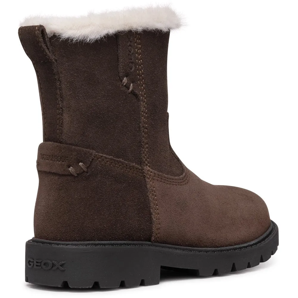 Cougar Ankle Boots Geox J Shaylax G Ankle Boots Size 6