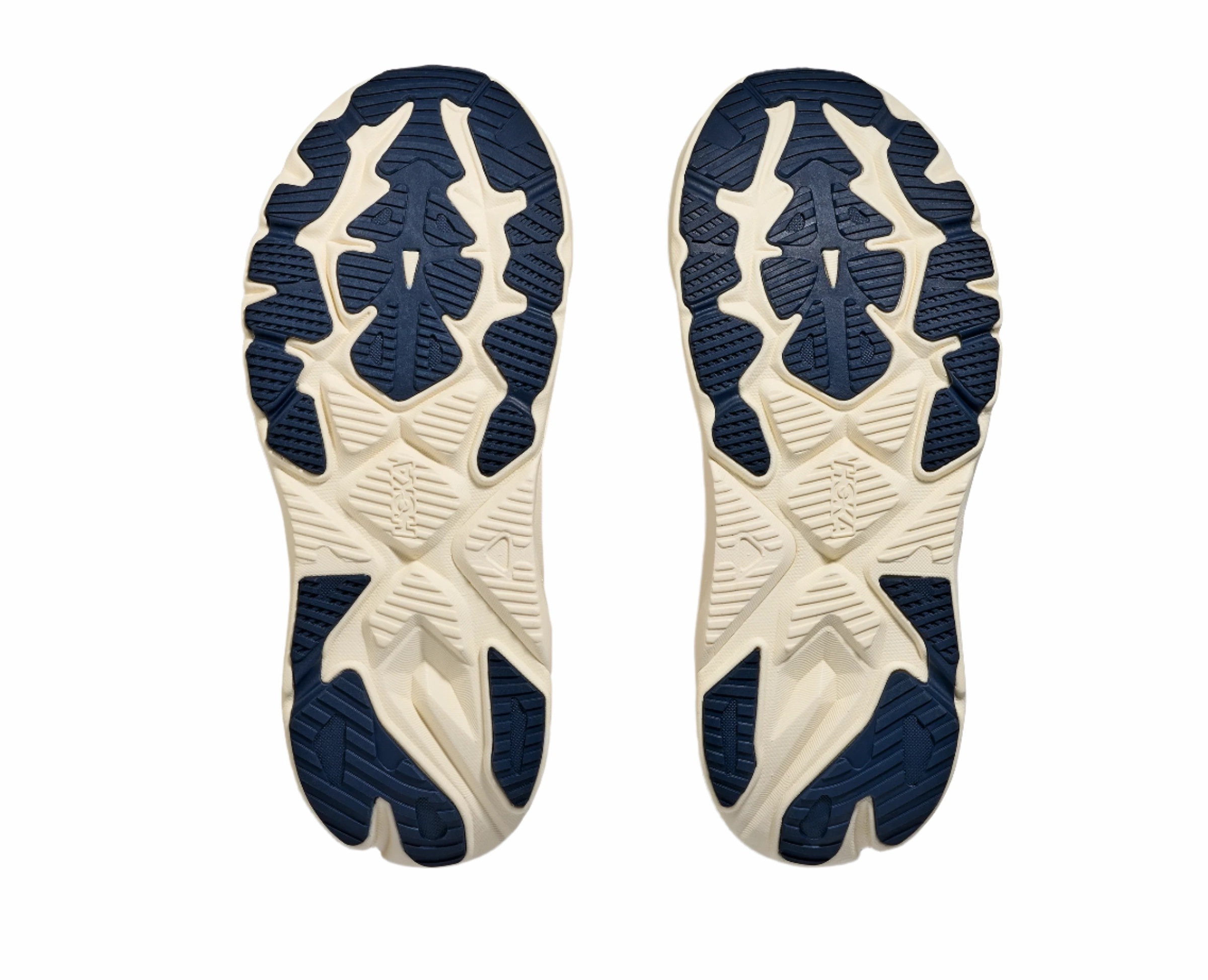 Shoes Kelowna Women's Hoka Arahi 8