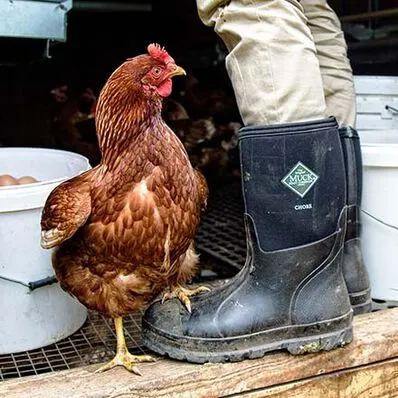 Muck Men's Chore Classic Mid Black Pull On Rubber Boots CHM-000A-BL Walmart Soccer Boots