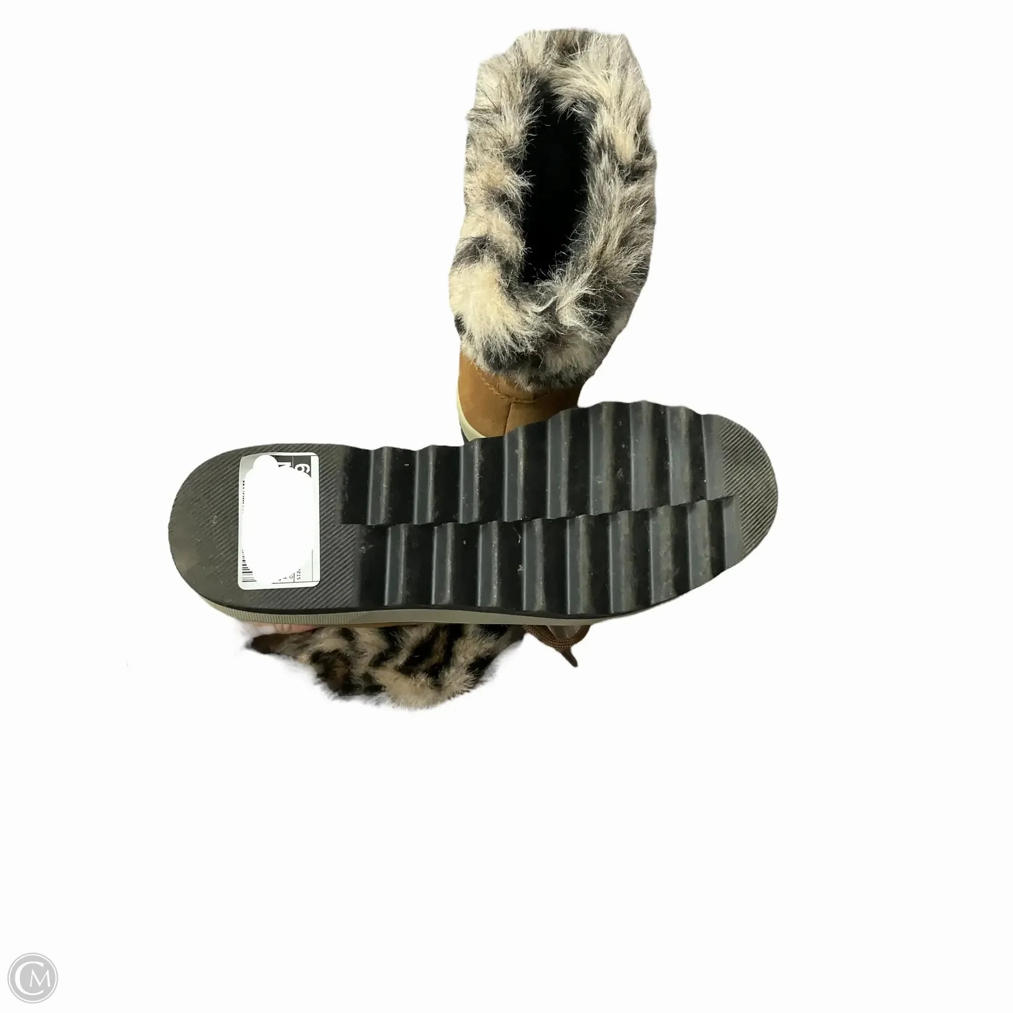 Ankle Snow Boots Boots Snow By Clothes Mentor In Animal Print, Size: 9