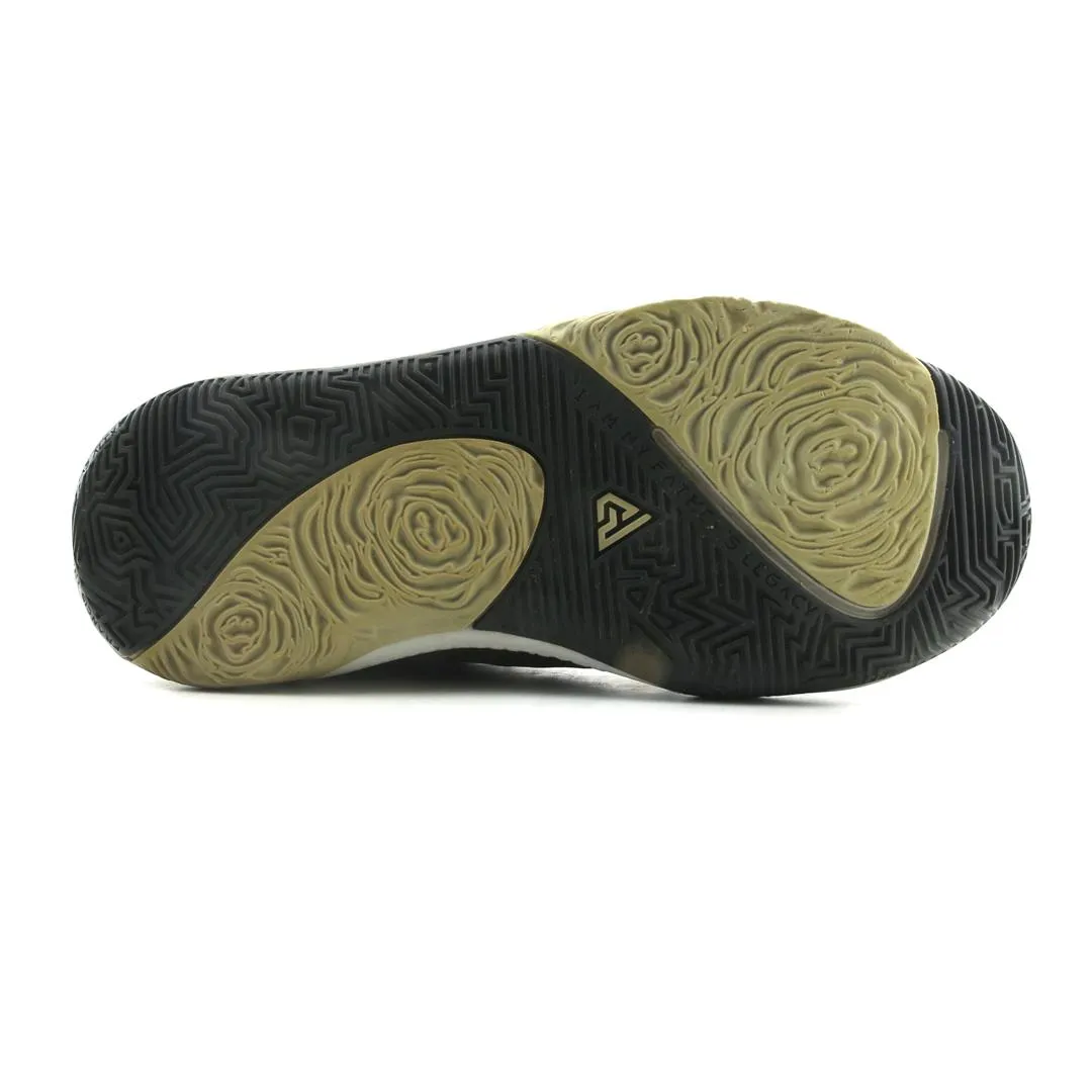 Heavy Basketball Shoes NIKE ZOOM FREAK 1