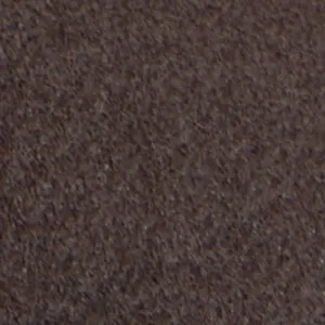 Salome Salvatore Ferragamo Loafers On Sale