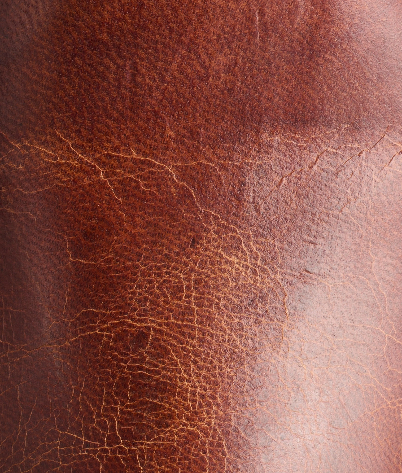 Tanner :: Peanut Brittle Salomon Boots