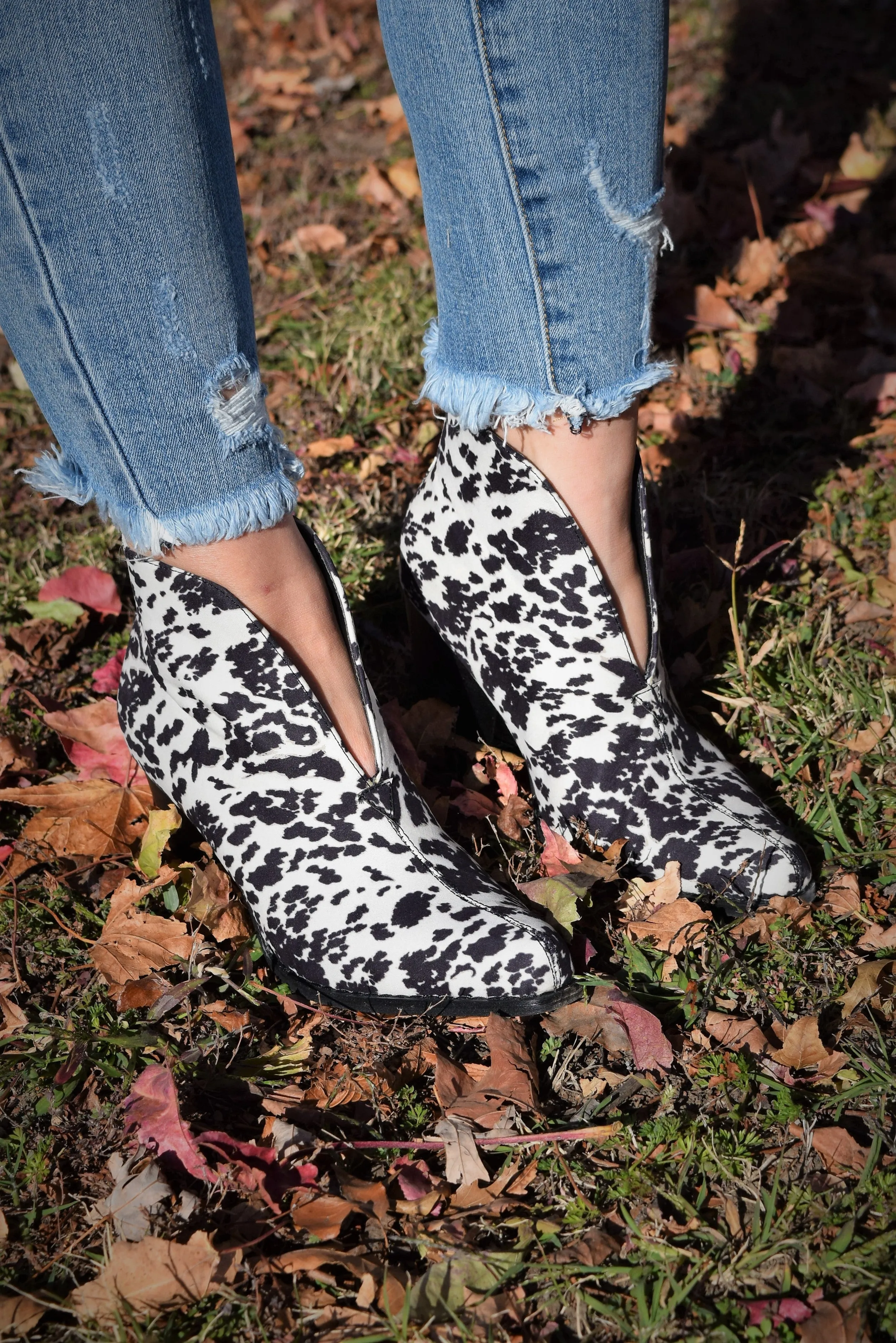 The Cattle Two Stepper Booties Clinch Boots