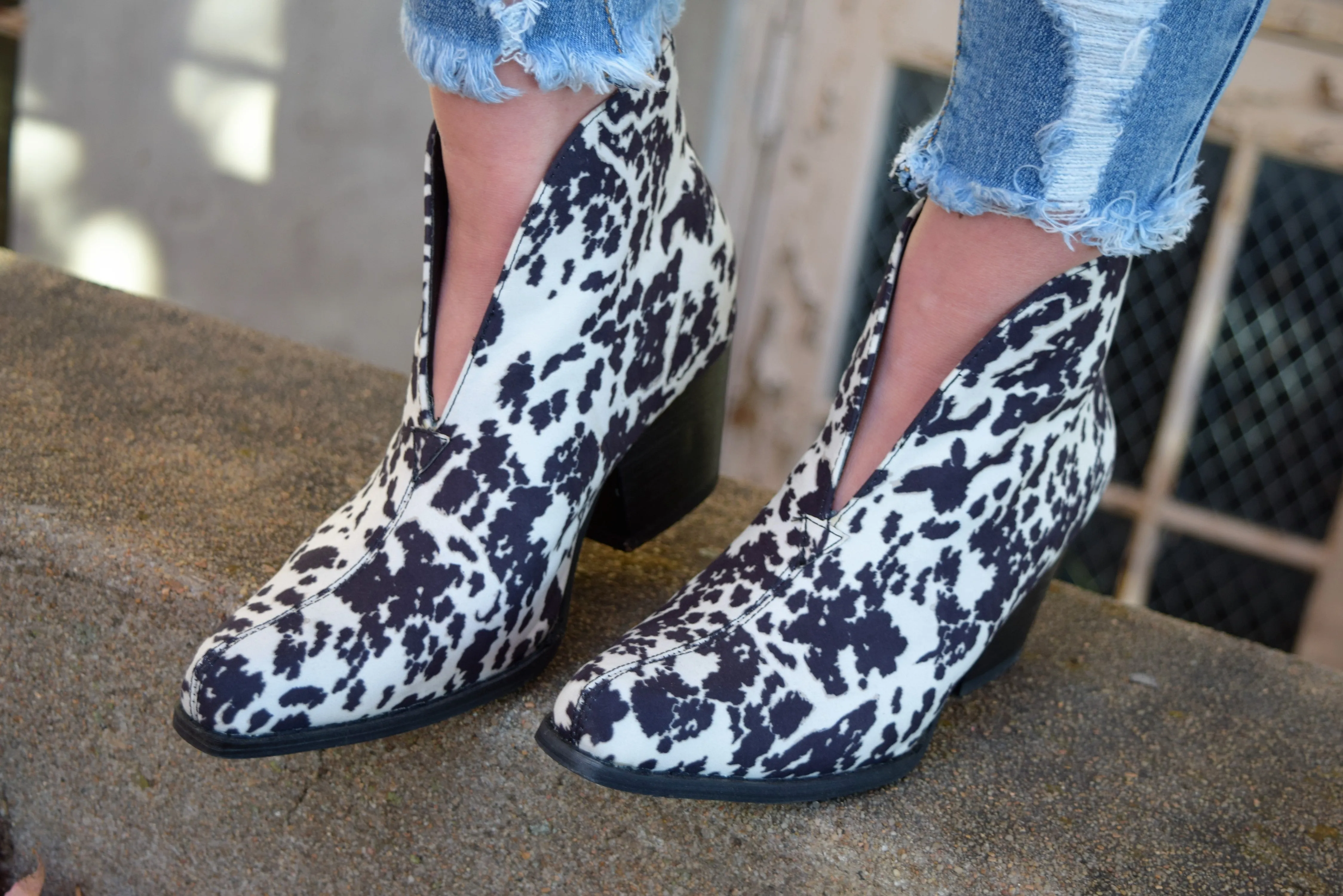 The Cattle Two Stepper Booties Ugg Chelsea Boots