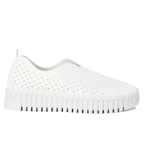 Wash Slip Ons Tulip 3373 White