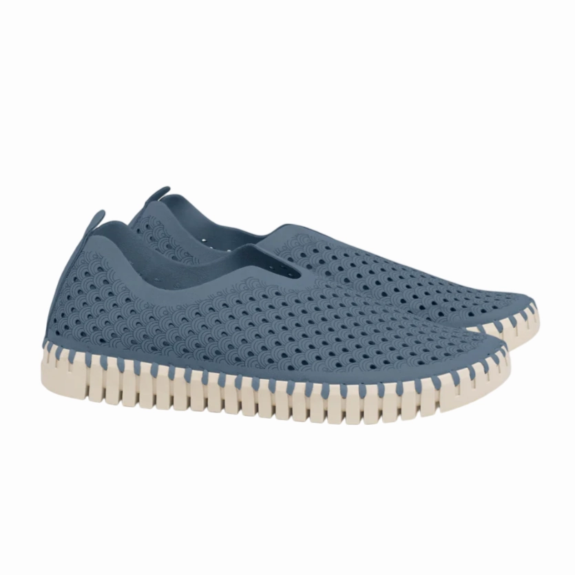 Tulip 139 Grey Blue Best Slip On Shoes For Toddlers