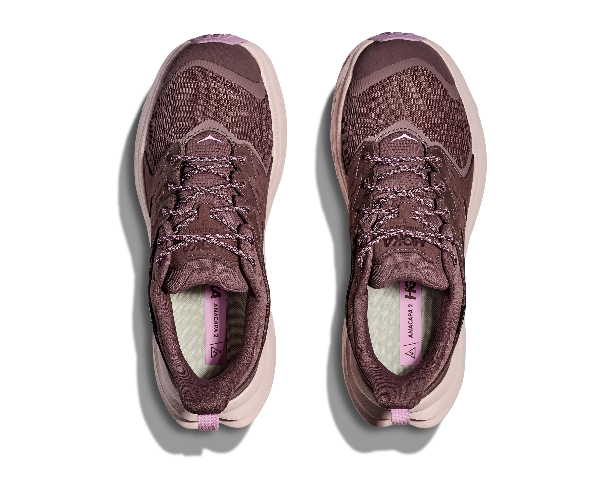 Shoes Buy Women's Anacapa 2 Low GTX