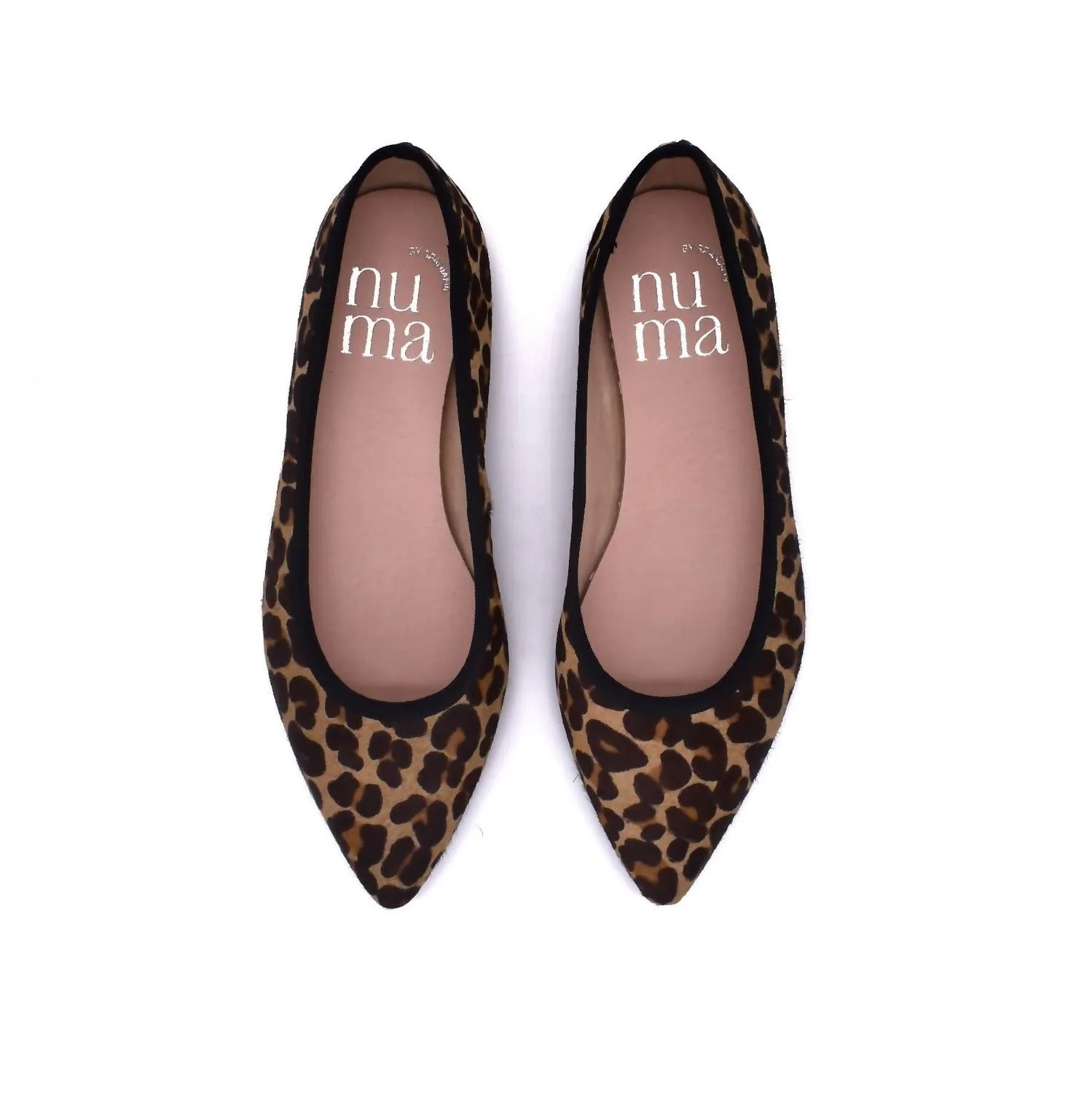 Women's Ballet Flat Shoes In Leopard Hard Shoe Inserts